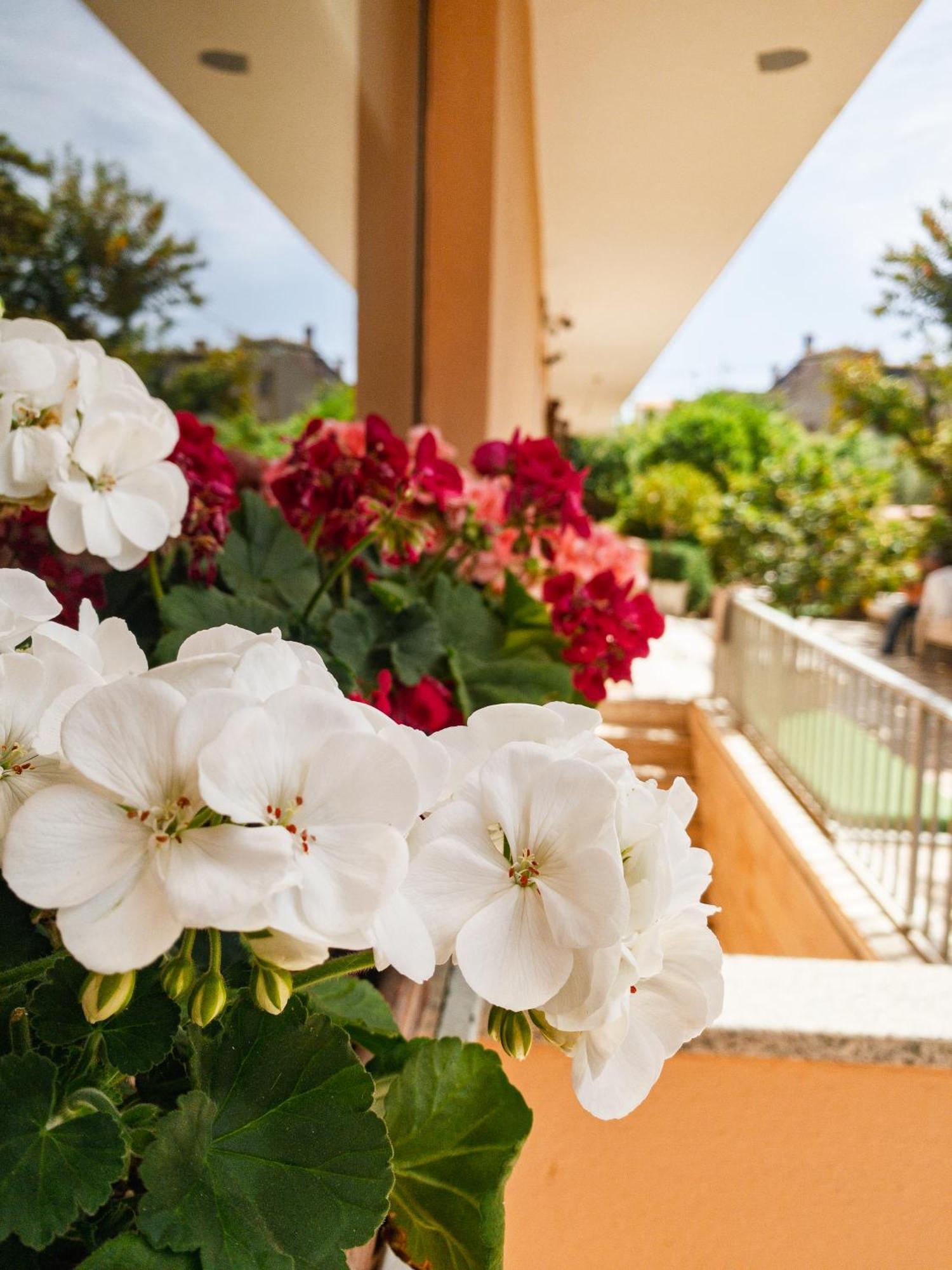 Hotel Donatella Posada  Bagian luar foto